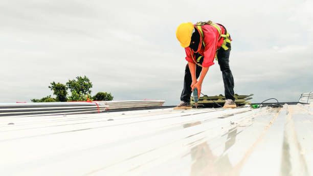 Best Roof Moss and Algae Removal  in Noblesville, IN